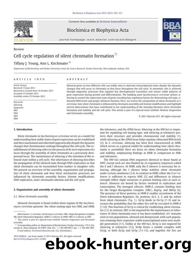 Cell cycle regulation of silent chromatin formation by Tiffany J. Young & Ann L. Kirchmaier