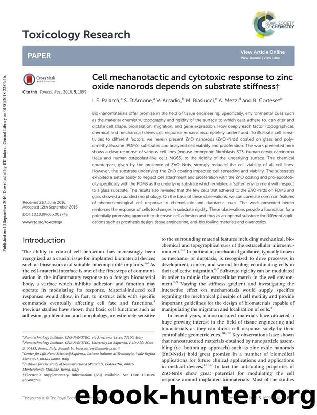 Cell mechanotactic and cytotoxic response to zinc oxide nanorods depends on substrate stiffness by I. E. Palamà S. D'Amone V. Arcadio M. Biasiucci A. Mezzi B. Cortese