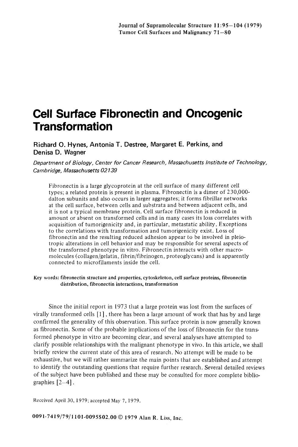 Cell surface fibronectin and oncogenic transformation by Unknown