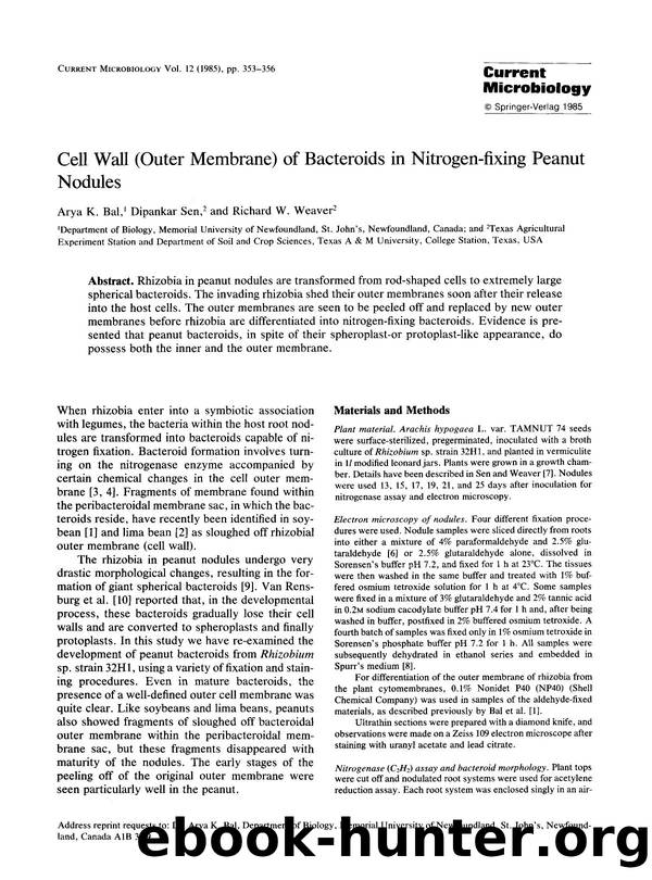 Cell wall (outer membrane) of bacteroids in nitrogen-fixing peanut nodules by Unknown