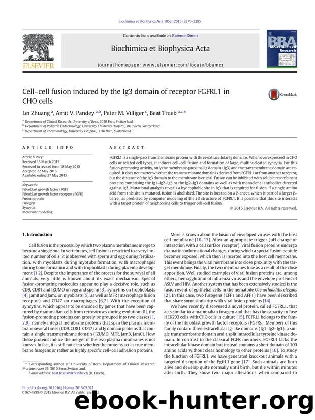 Cellâcell fusion induced by the Ig3 domain of receptor FGFRL1 in CHO cells by Lei Zhuang & Amit V. Pandey & Peter M. Villiger & Beat Trueb