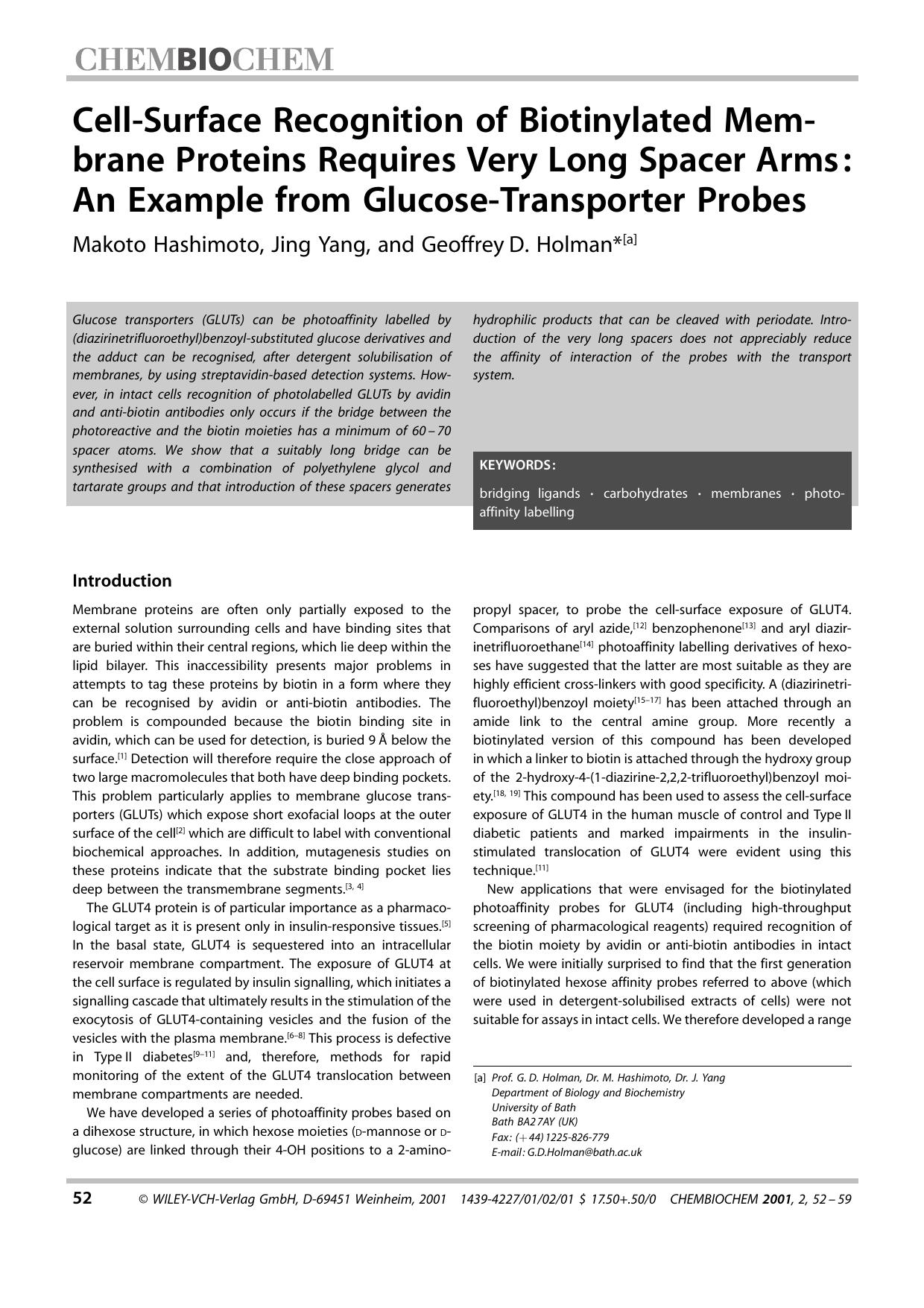 Cell-Surface Recognition of Biotinylated Membrane Proteins Requires Very Long Spacer Arms: An Example from Glucose-Transporter Probes by Unknown