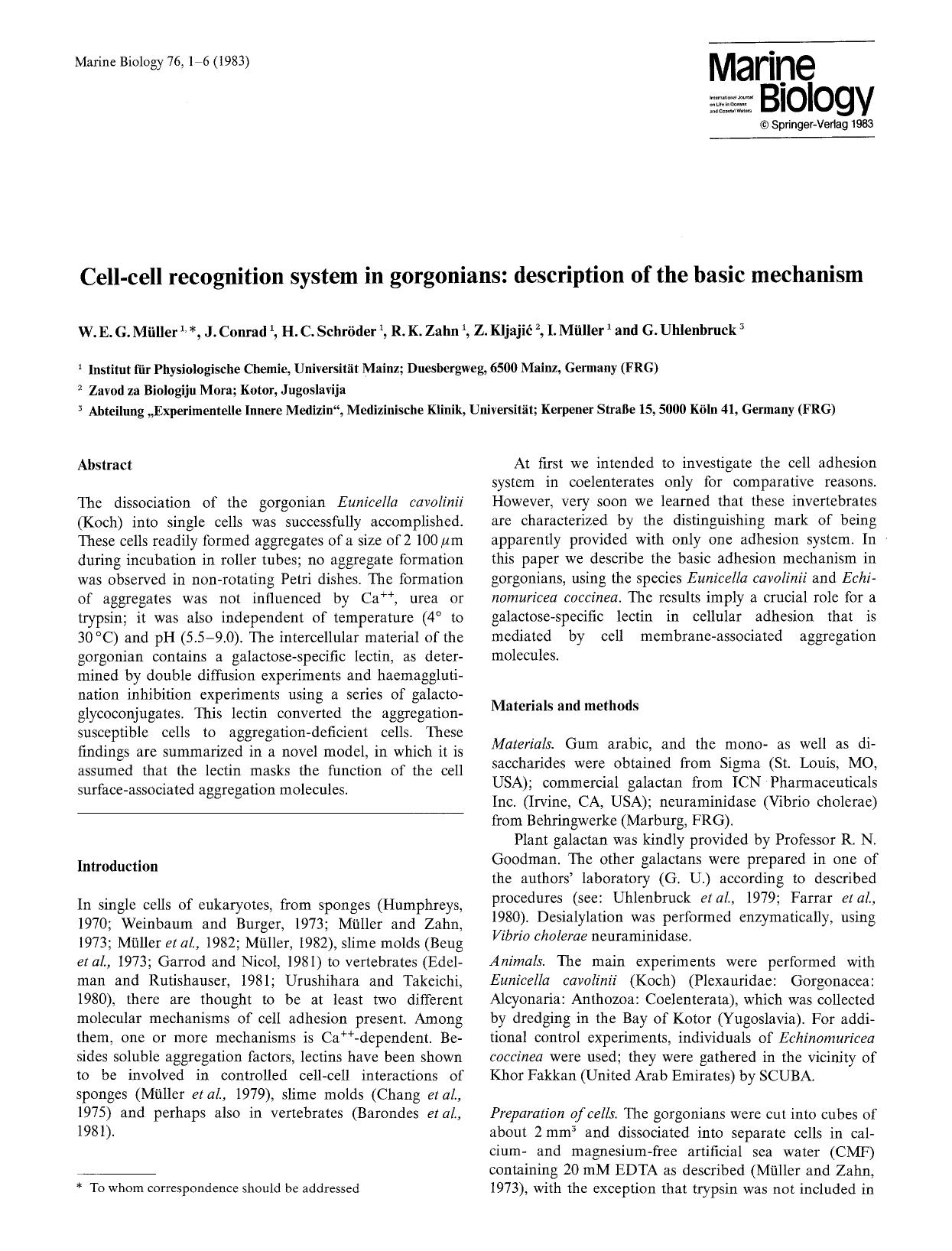 Cell-cell recognition system in gorgonians: description of the basic mechanism by Unknown
