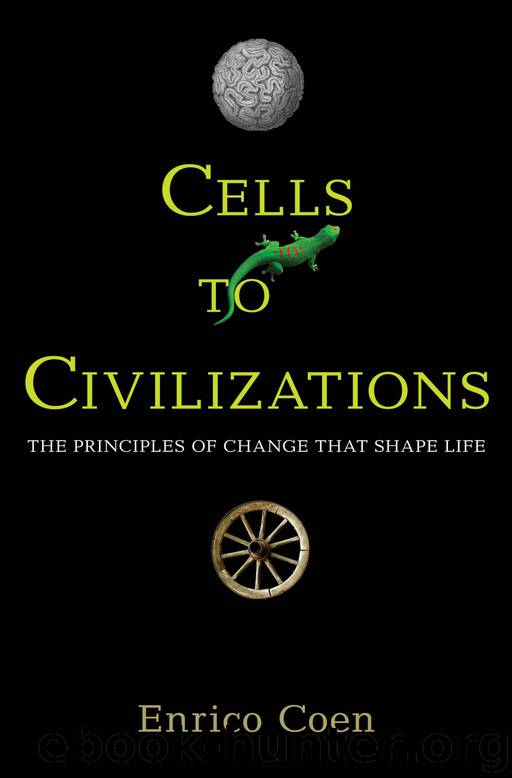 Cells to Civilizations : The Principles of Change That Shape Life (9781400841653) by Coen Enrico