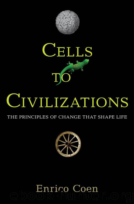 Cells to Civilizations : The Principles of Change That Shape Life by Coen Enrico