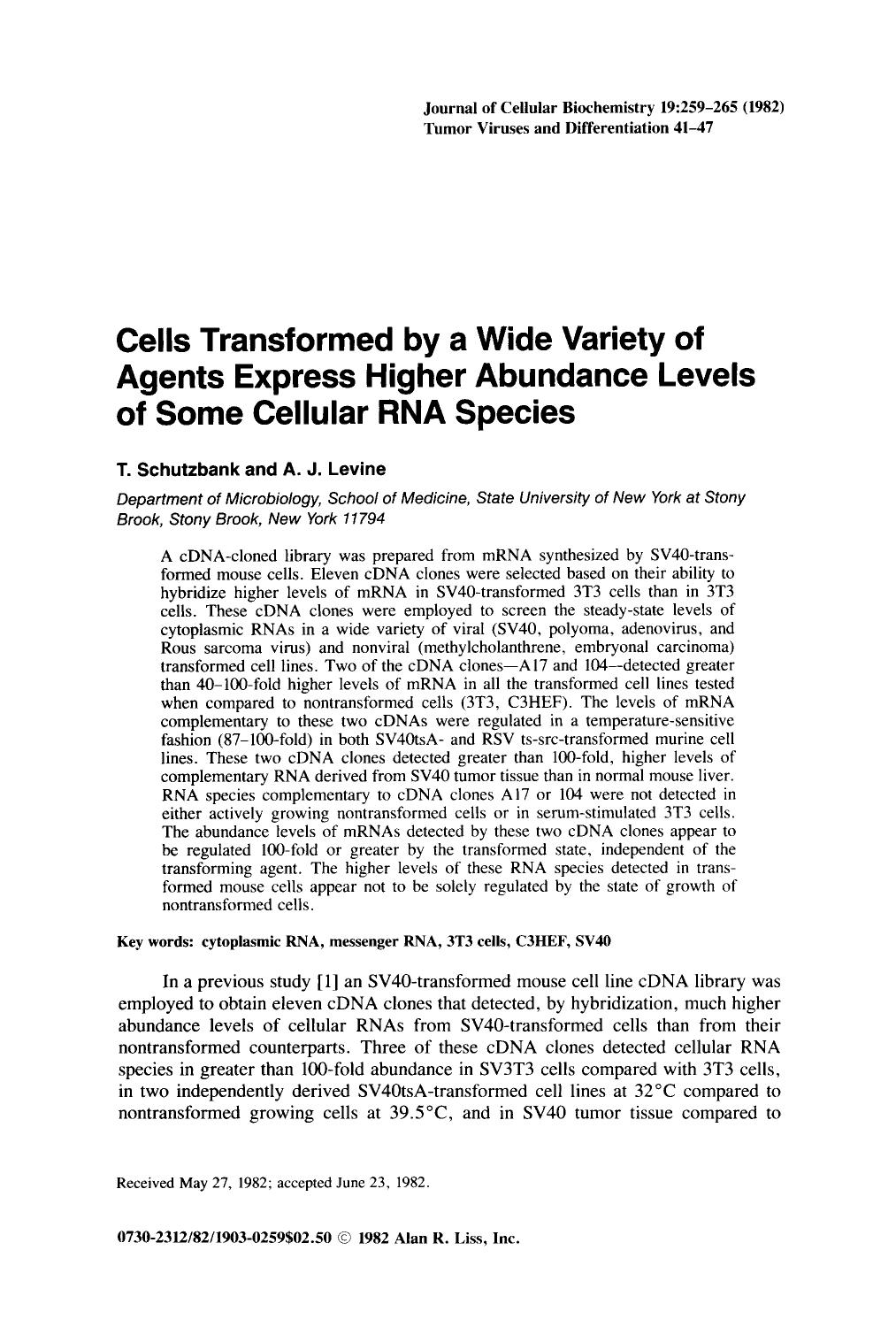 Cells transformed by a wide variety of agents express higher abundance levels of some cellular RNA species by Unknown