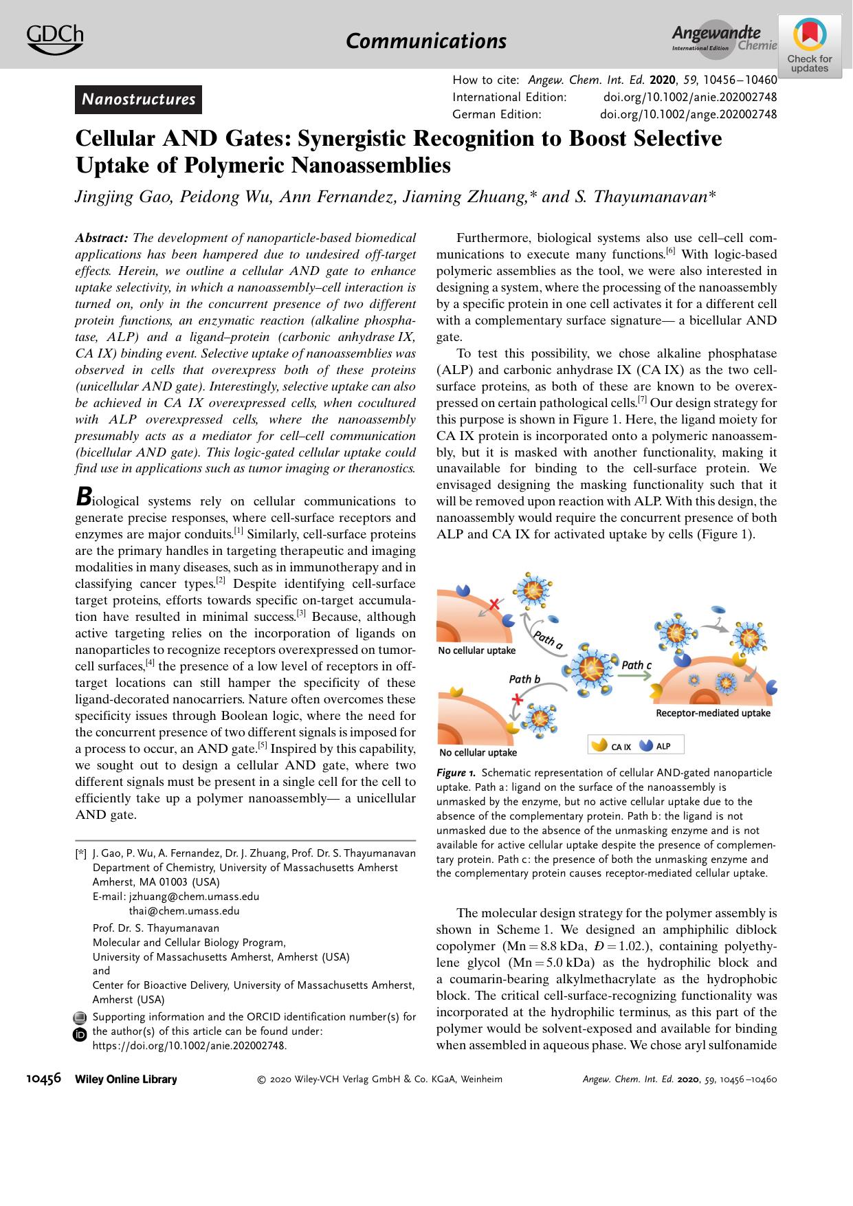 Cellular AND Gates: Synergistic Recognition to Boost Selective Uptake of Polymeric Nanoassemblies by Unknown