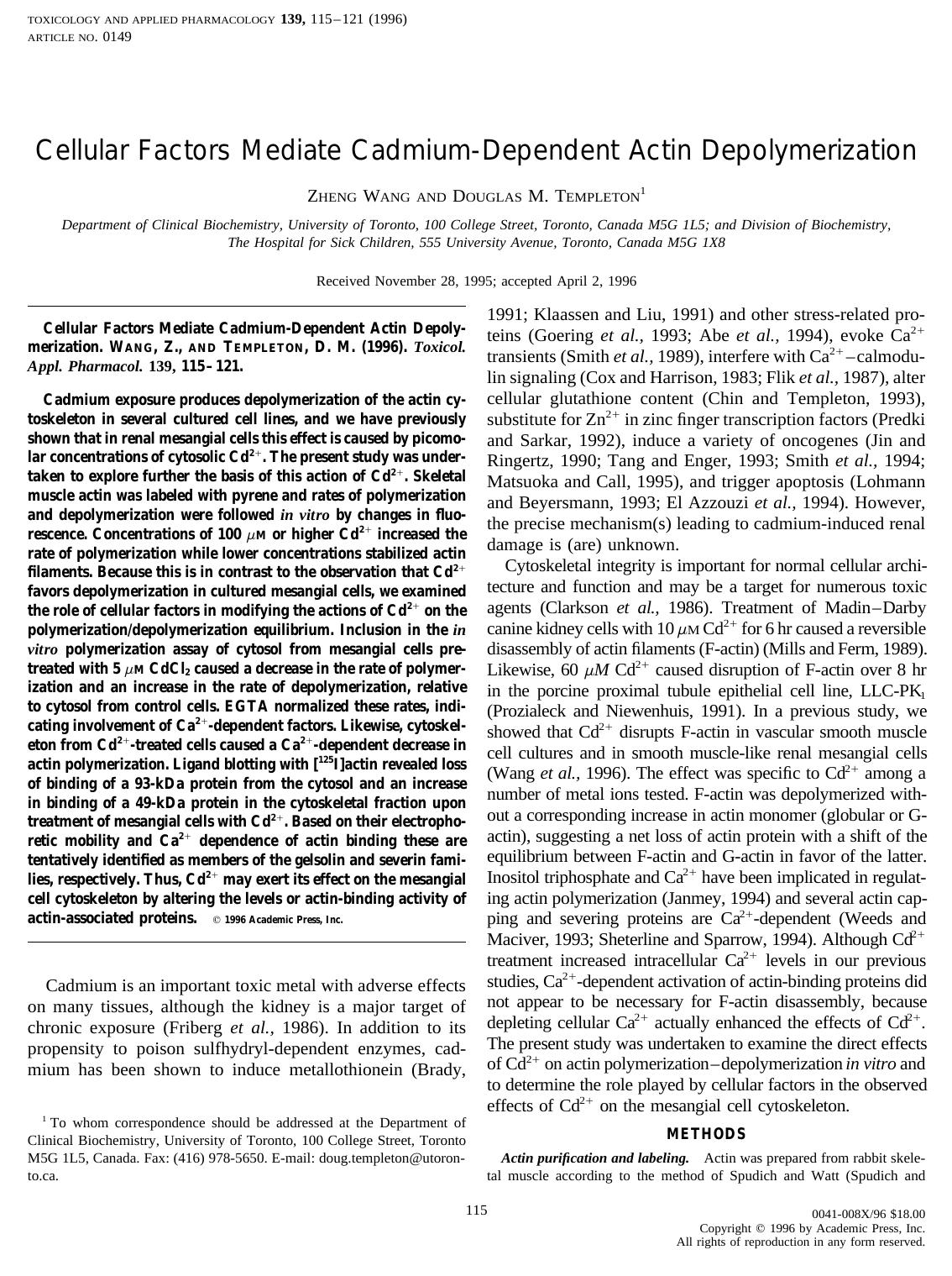 Cellular Factors Mediate Cadmium-Dependent Actin Depolymerization by Wang Z. et al