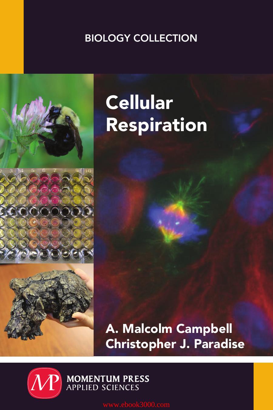Cellular Respiration (Biology Collection) by Unknow
