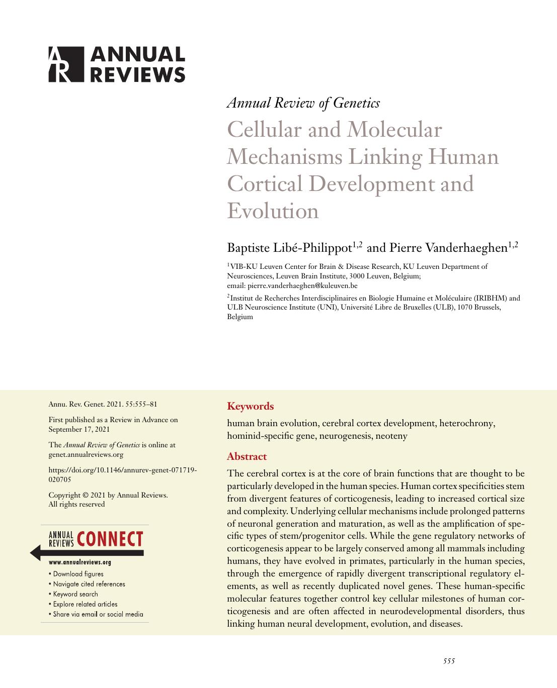 Cellular and Molecular Mechanisms Linking Human Cortical Development and Evolution by Baptiste Libé-Philippot and Pierre Vanderhaeghen