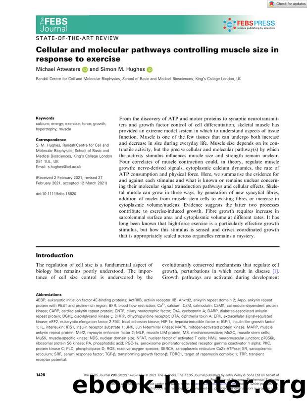 Cellular and molecular pathways controlling muscle size in response to exercise by Unknown