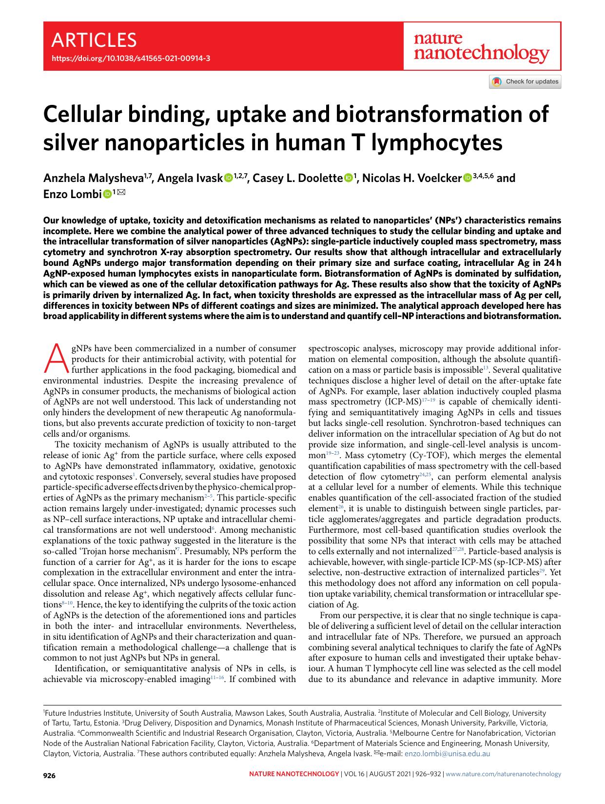 Cellular binding, uptake and biotransformation of silver nanoparticles in human T lymphocytes by Anzhela Malysheva & Angela Ivask & Casey L. Doolette & Nicolas H. Voelcker & Enzo Lombi