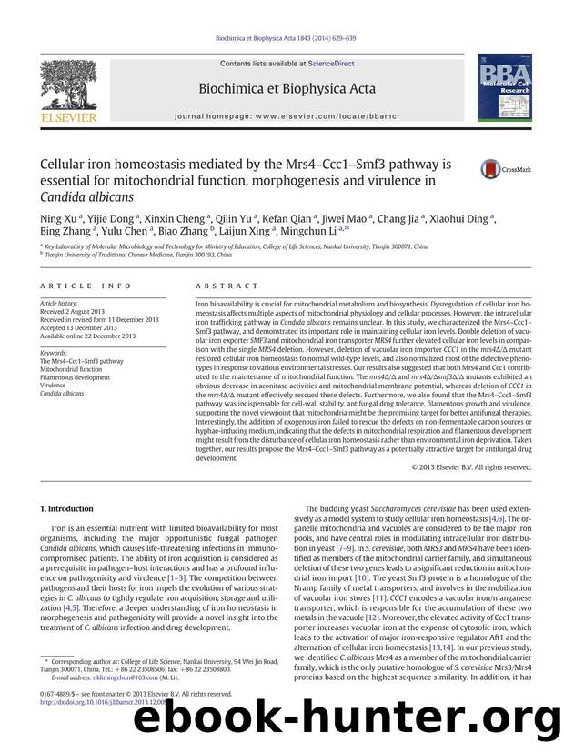 Cellular iron homeostasis mediated by the Mrs4âCcc1âSmf3 pathway is essential for mitochondrial function, morphogenesis and virulence in Candida albicans by unknow