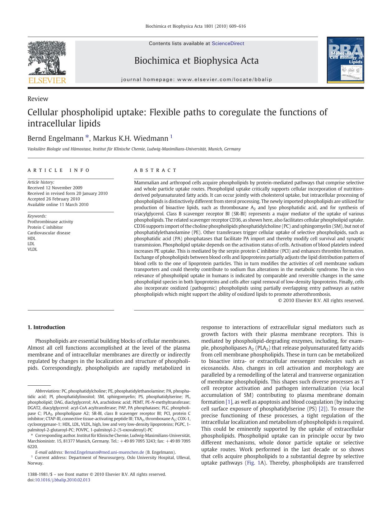 Cellular phospholipid uptake: Flexible paths to coregulate the functions of intracellular lipids by Bernd Engelmann; Markus K.H. Wiedmann