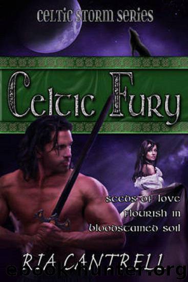 Celtic Fury (Celtic Storm Series Book 3) by Ria Cantrell