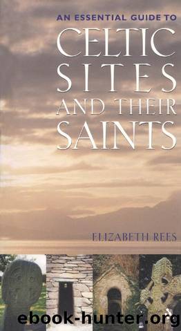 Celtic Sites and Their Saints : A Guidebook by Elizabeth Rees