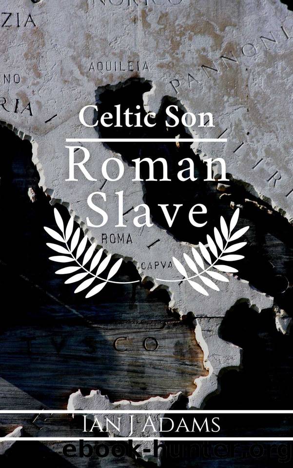 Celtic Son: A Roman Slave by Adams Ian J