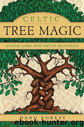 Celtic Tree Magic: Ogham Lore and Druid Mysteries by Danu Forest