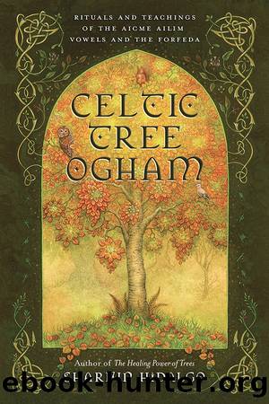 Celtic Tree Ogham by Sharlyn Hidalgo