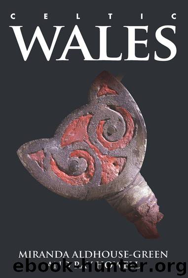 Celtic Wales by Aldhouse-Green Miranda & Howell Ray