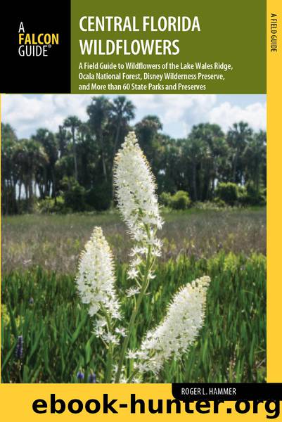 Central Florida Wildflowers by Roger L. Hammer