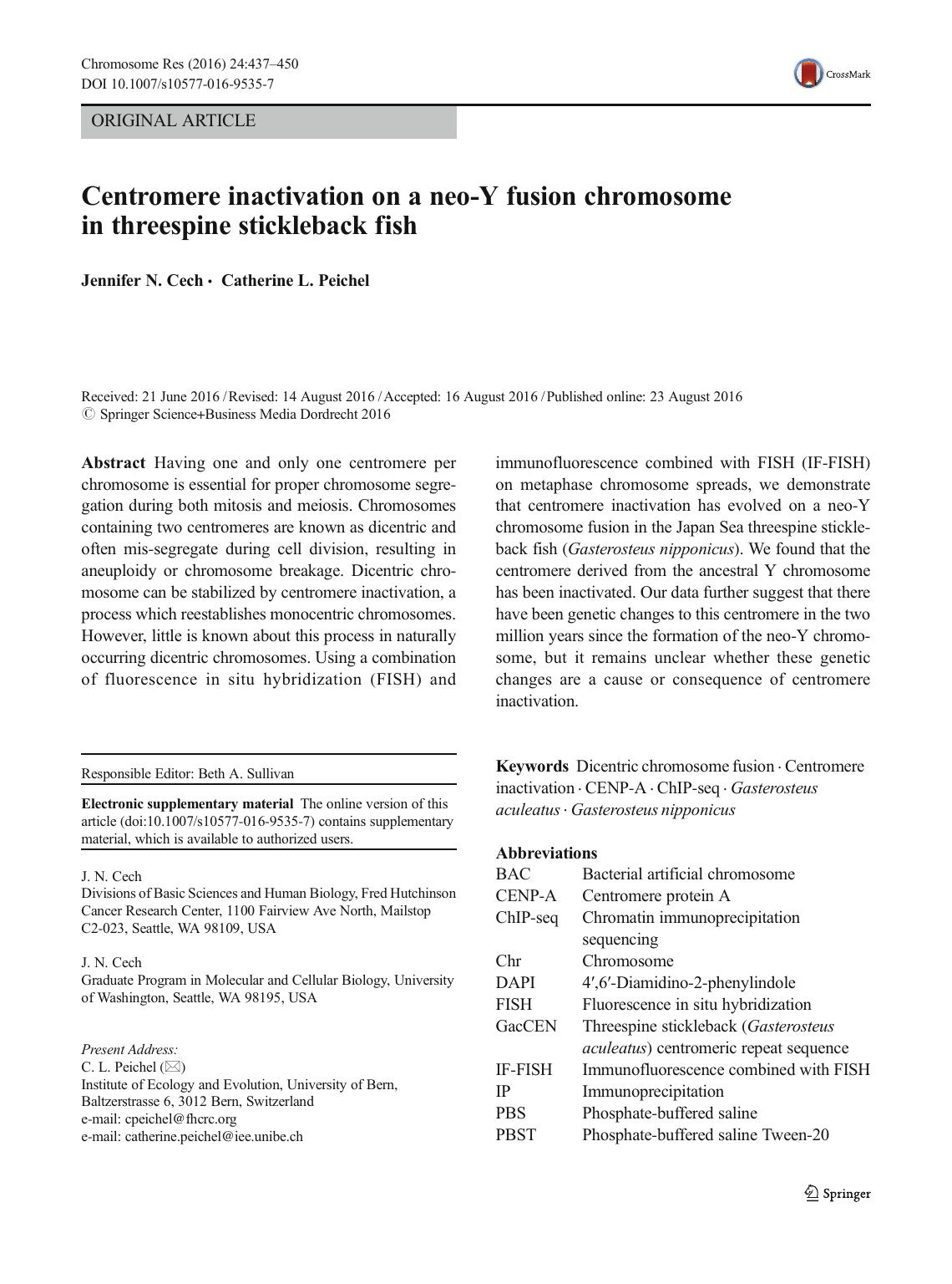 Centromere inactivation on a neo-Y fusion chromosome in threespine stickleback fish by Jennifer N. Cech & Catherine L. Peichel