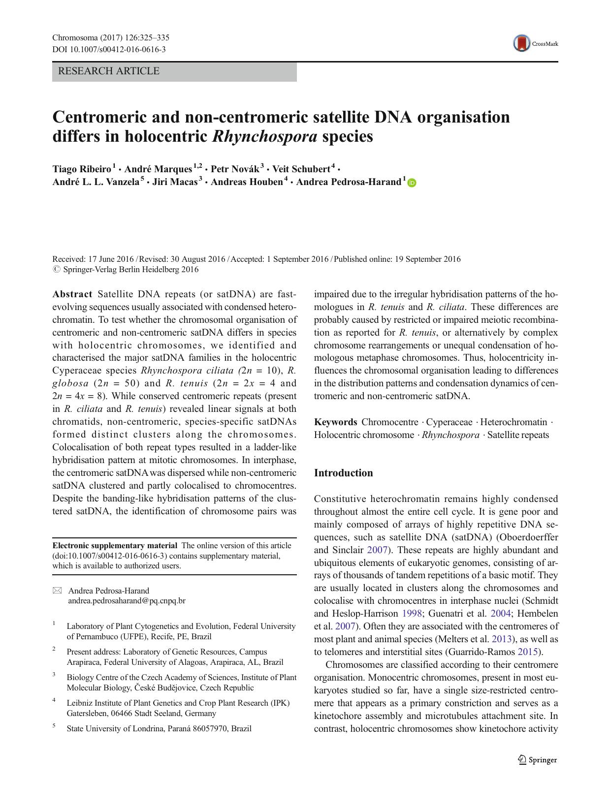 Centromeric and non-centromeric satellite DNA organisation differs in holocentric Rhynchospora species by unknow
