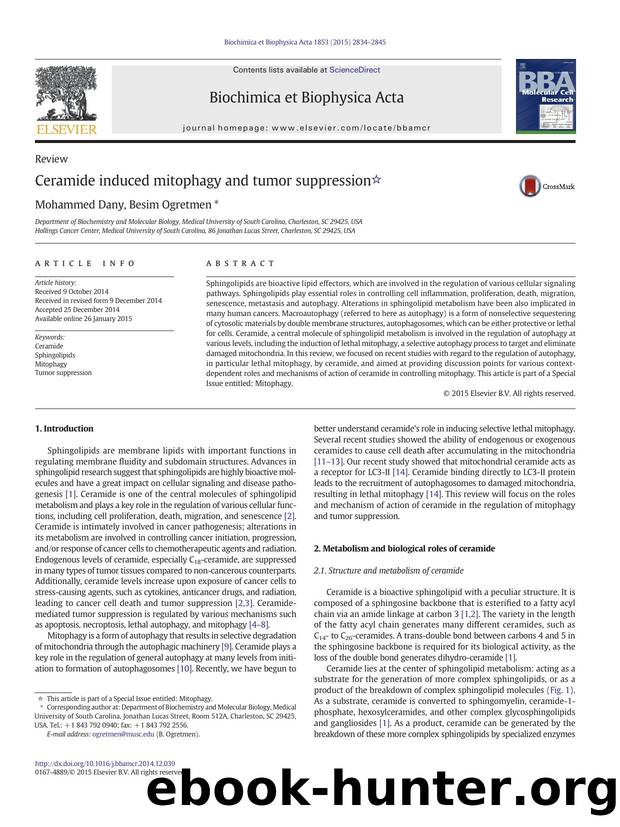 Ceramide induced mitophagy and tumor suppression by Mohammed Dany & Besim Ogretmen