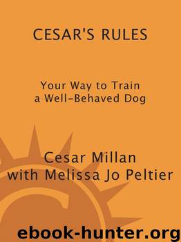 Cesar's Rules: Your Way to Train a Well-Behaved Dog by Millan Cesar & Peltier Melissa Jo