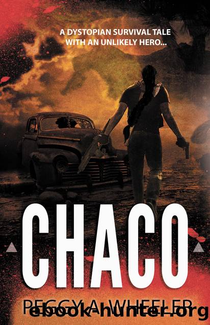 Chaco by Peggy A. Wheeler