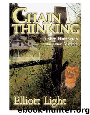 Chain Thinking by Elliott Light