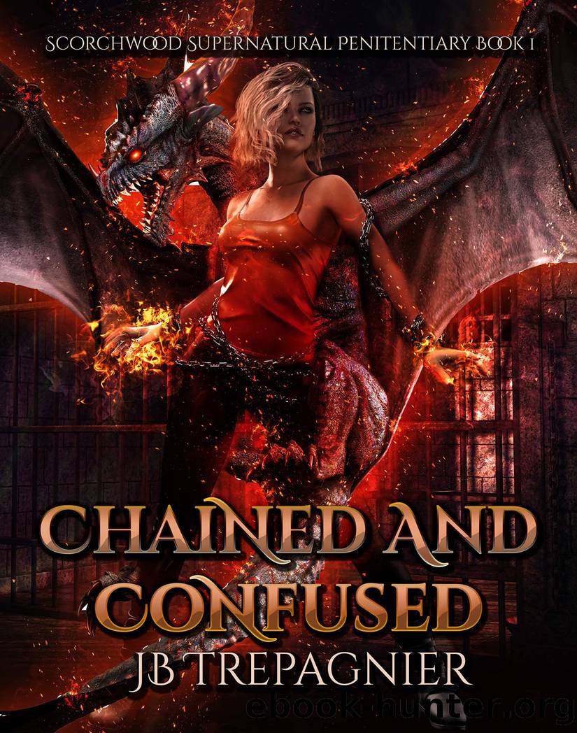 Chained and Confused by J B Trepagnier