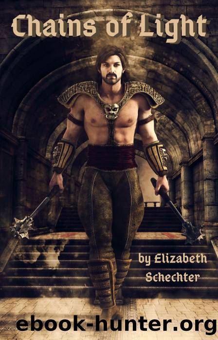 Chains of Light by Elizabeth Schechter