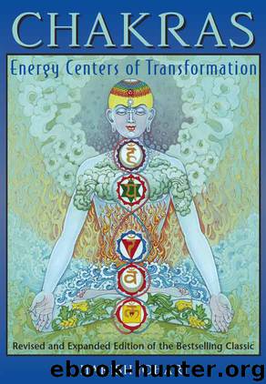 Chakras by Johari Harish