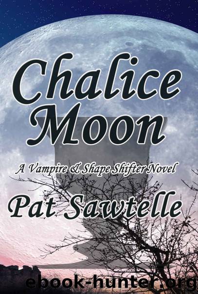 Chalice Moon by Pat Sawtelle