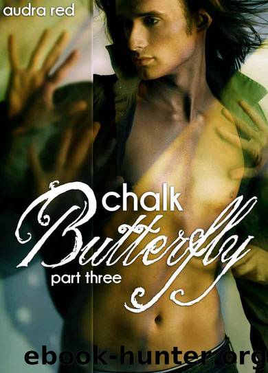 Chalk Butterfly: Part Three (First Time Gay Erotic Romance) (Chalk Butterfly Trilogy) by Audra Red