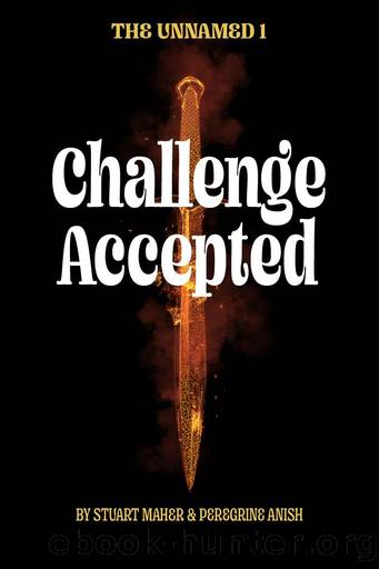 Challenge Accepted: Book 1 of the Unnamed Saga by Stuart Maher & Peregrine Anish