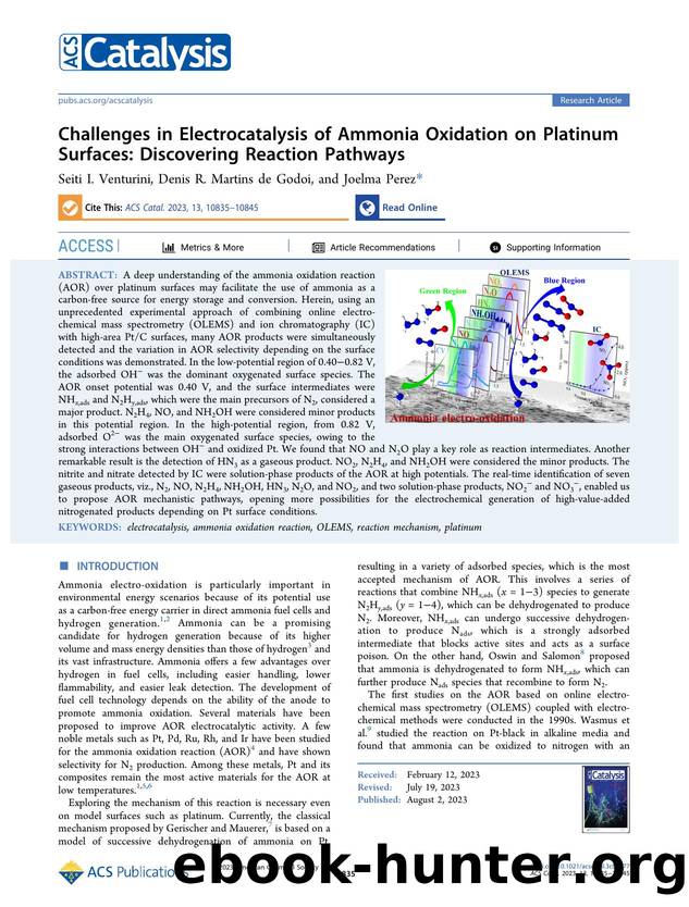 Challenges in Electrocatalysis of Ammonia Oxidation on Platinum Surfaces: Discovering Reaction Pathways by Seiti I. Venturini Denis R. Martins de Godoi and Joelma Perez