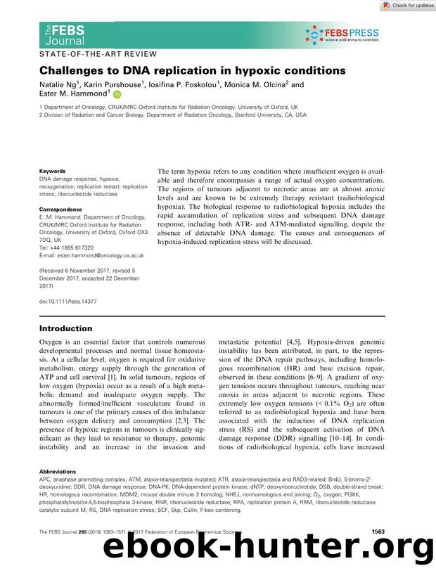 Challenges to DNA replication in hypoxic conditions by Unknown