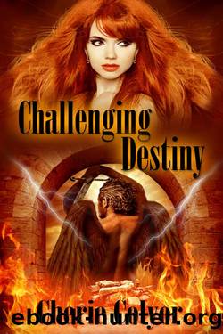 Challenging Destiny by Cherie Colyer