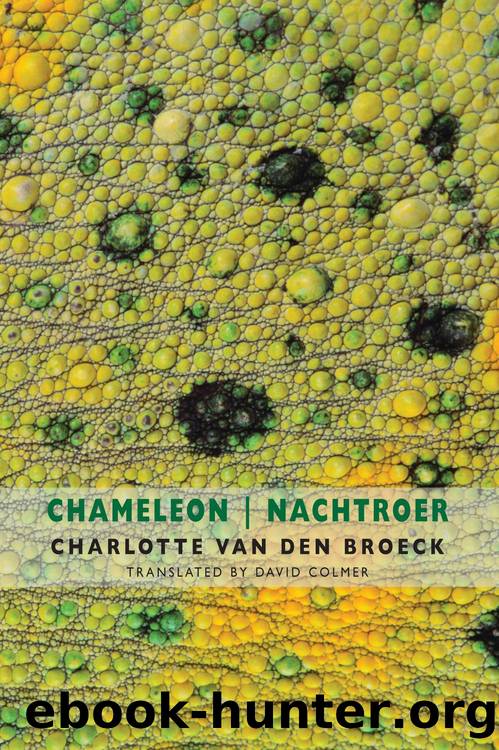 Chameleon | Nachtroer by Charlotte Van Den Broeck