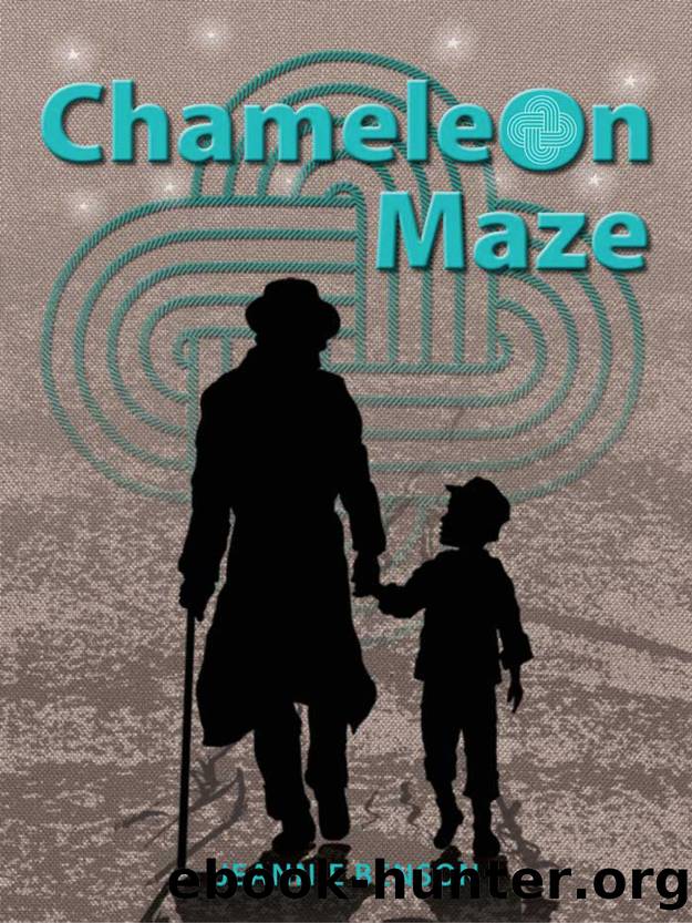 Chameleon Maze by Jeannie Benson