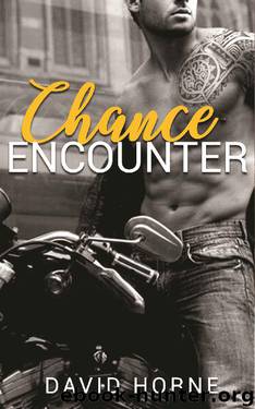 Chance Encounter by David Horne