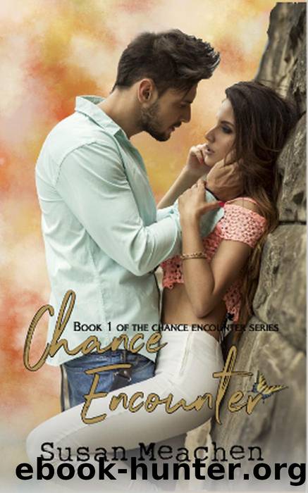 Chance Encounter by Susan Meachen