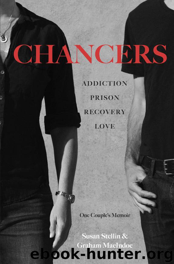 Chancers by Susan Stellin