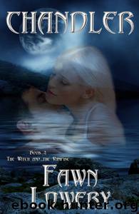 Chandler: Books 4 The Witch and the Vampire by Fawn Lowery