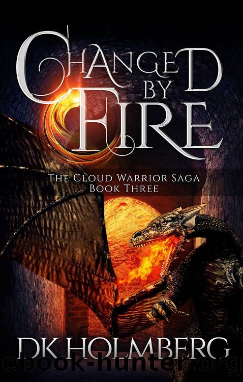 Changed By Fire by D. K. Holmberg