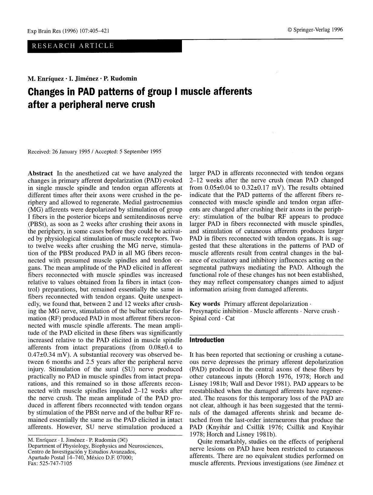 Changes in PAD patterns of group I muscle afferents after a peripheral nerve crush by Unknown