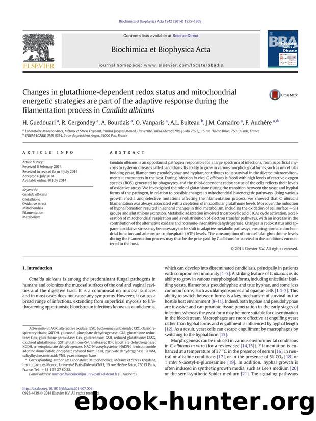 Changes in glutathione-dependent redox status and mitochondrial energetic strategies are part of the adaptive response during the filamentation process in Candida albicans by H. Guedouari & R. Gergondey & A. Bourdais & O. Vanparis & A.L. Bulteau & J.M. Camadro & F. Auchère
