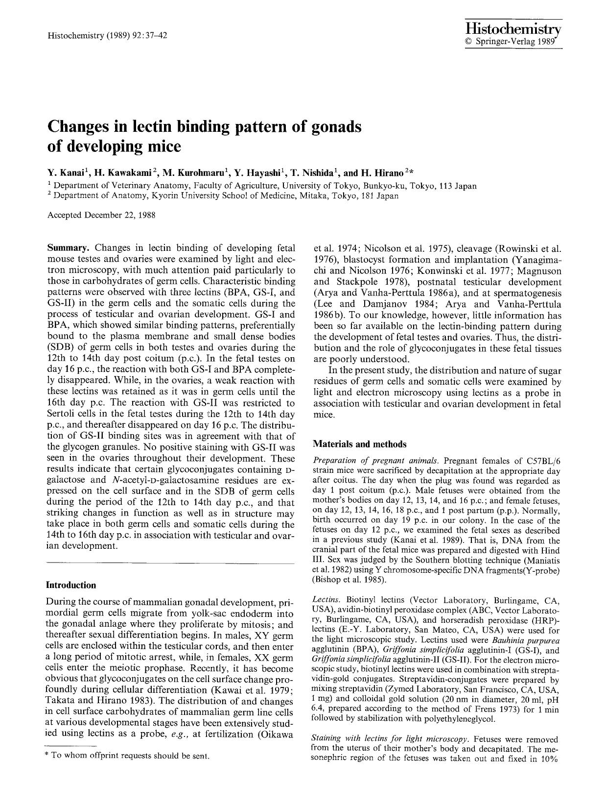 Changes in lectin binding pattern of gonalds of developing mice by Unknown